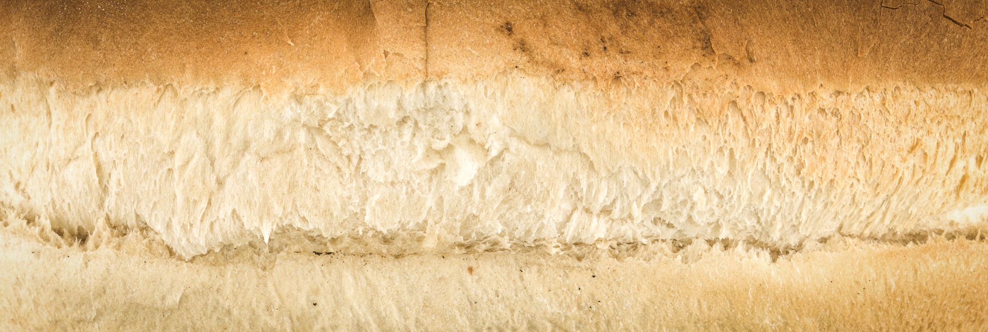 Fresh white loaf, detail